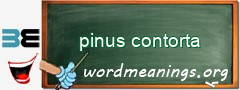 WordMeaning blackboard for pinus contorta